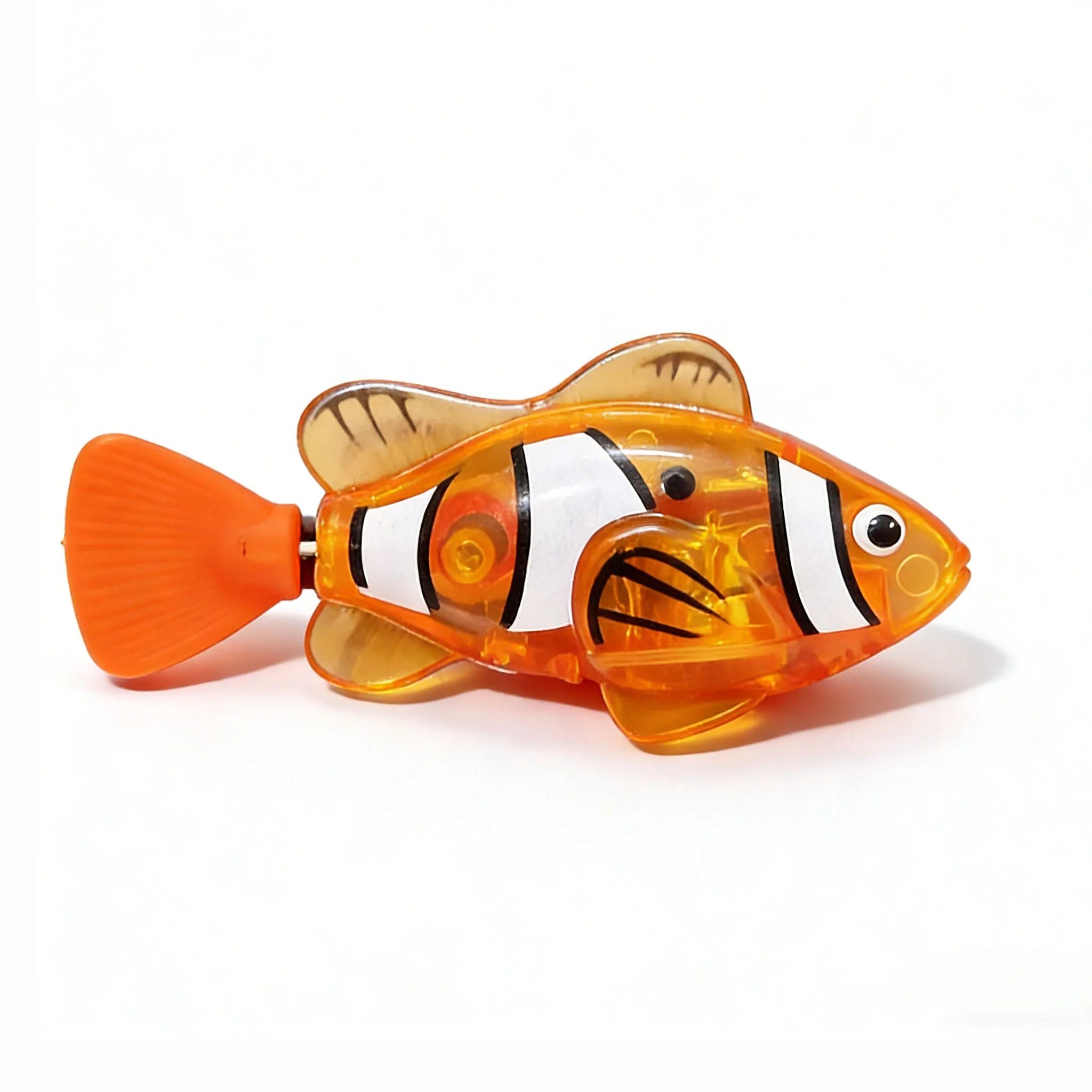 Swimming Clownfish