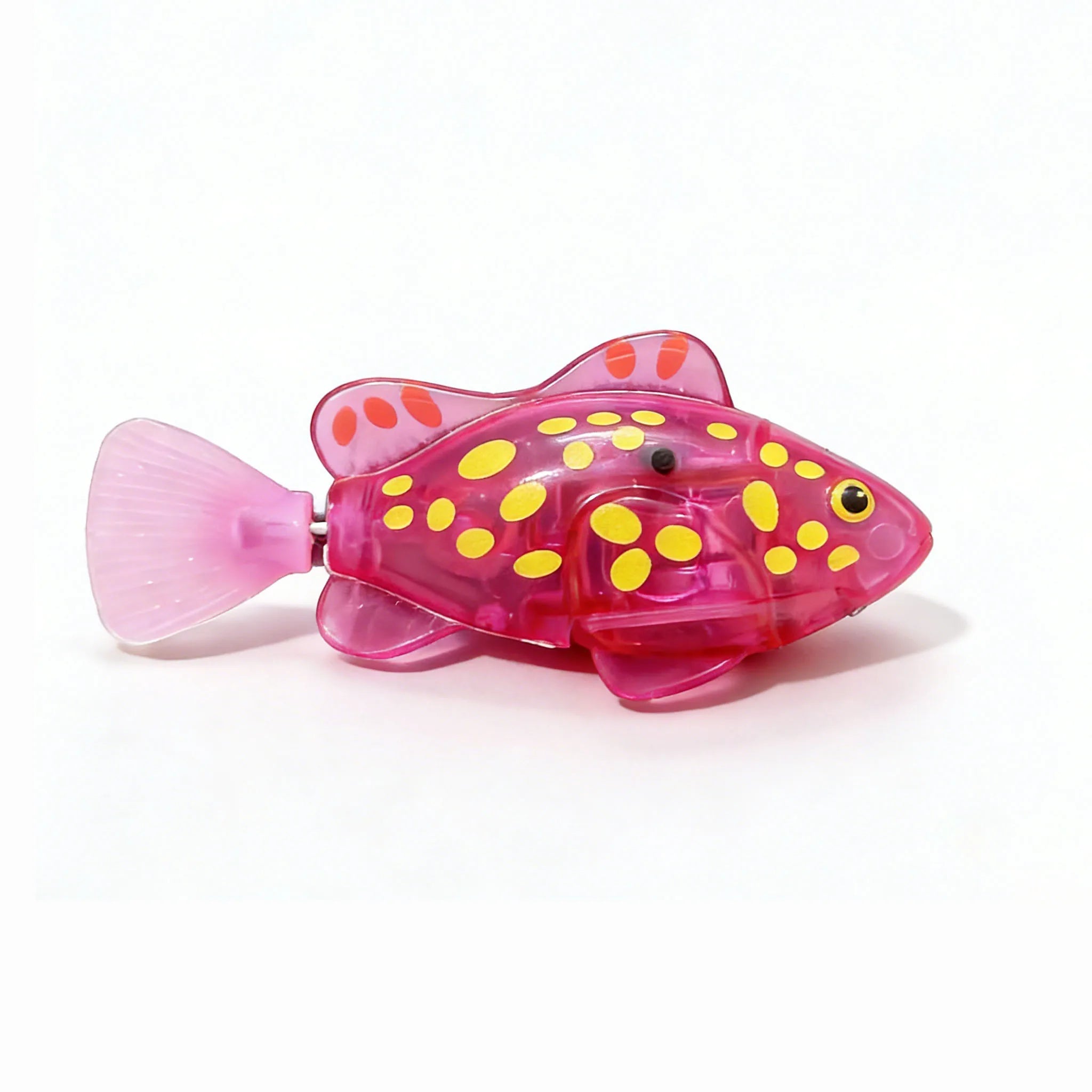 Swimming Clownfish