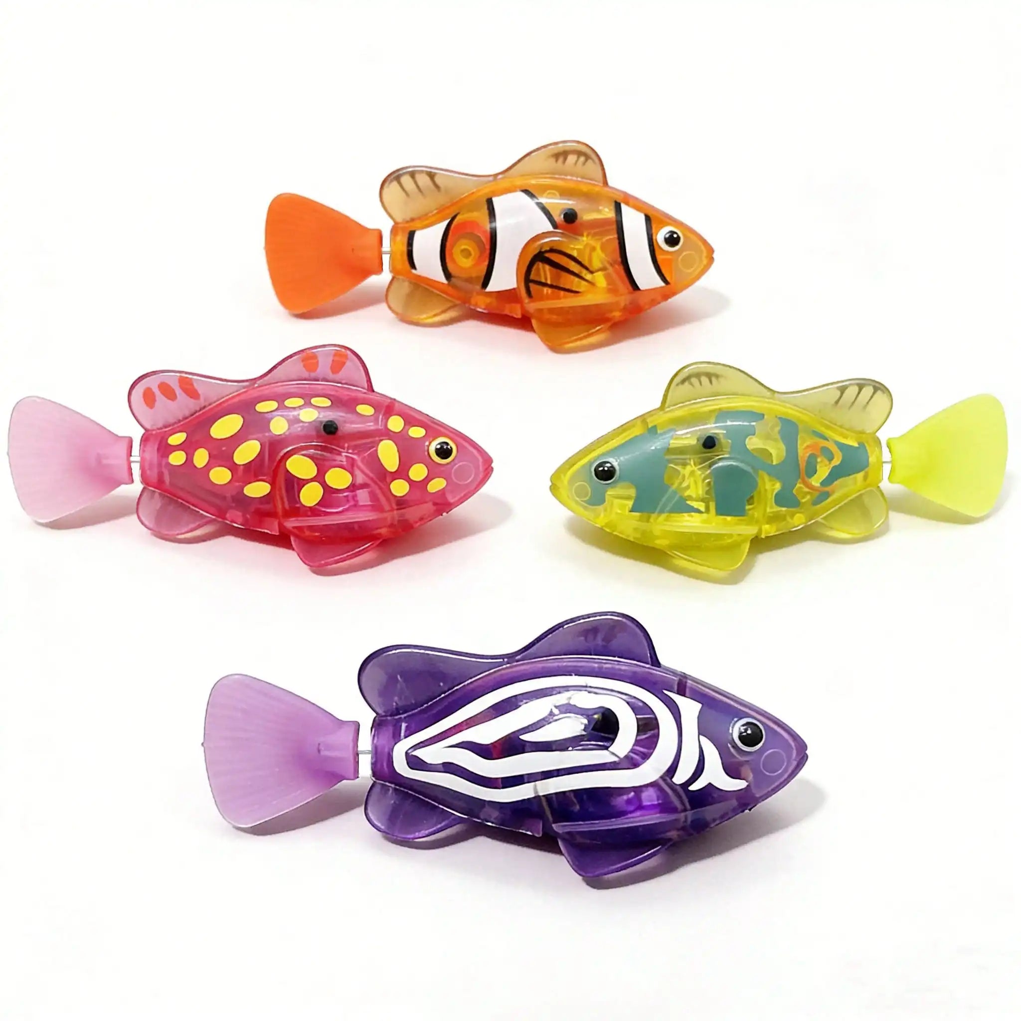 Swimming Clownfish